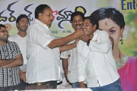 Brother of Bommali Success Meet